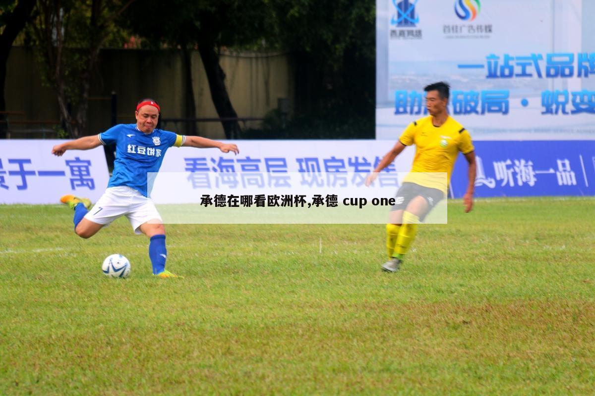 承德在哪看欧洲杯,承德 cup one